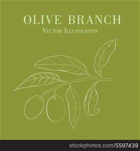 Two olives on branch with leaves isolated on green. Vector illustration.