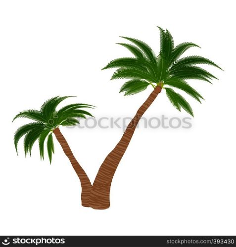 Two palm trees icon. Cartoon illustration of two palm trees vector icon for web. Two palm trees icon, cartoon style