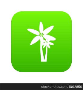 Two palm trees icon digital green for any design isolated on white vector illustration. Two palm trees icon digital green