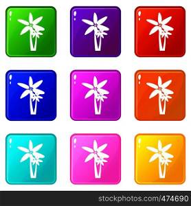 Two palm trees icons of 9 color set isolated vector illustration. Two palm trees icons 9 set
