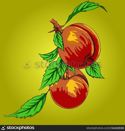 Two peaches with leaves on a branch on a light background