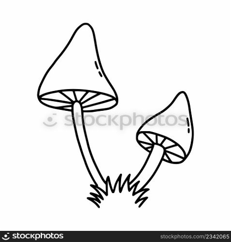 Two poisonous mushrooms on white background. Vector illustration of doodles. Fly agaric and toadstool
