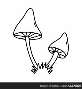 Two poisonous mushrooms on white background. Vector illustration of doodles. Fly agaric and toadstool