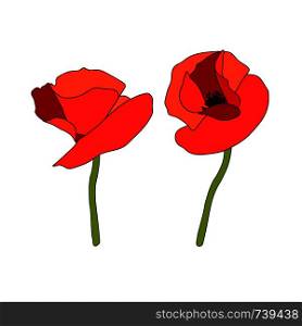 Two Poppy red flowers heads and stems. Anzac. Side view. Flat sketch style. Scarlett petals. Day of Remembrance. Vector illustration. Papaveroideae. Papaver somniferum. cards invitation decoration. Two Poppy red flowers heads and stems. Anzac. Side view. Flat sketch style. Scarlett petals. Day of Remembrance. Vector illustration