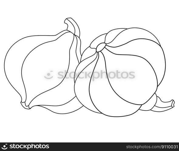 Two Pumpkins with cuttings - vector linear picture for coloring. Outline. Pumpkins - vegetables for coloring book 