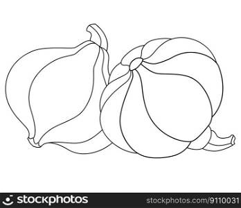 Two Pumpkins with cuttings - vector linear picture for coloring. Outline. Pumpkins - vegetables for coloring book 