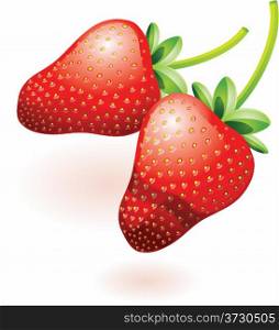 Two ripe strawberries. Vector.