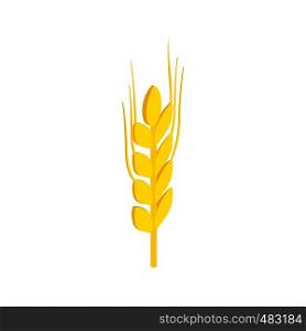 Two stalks of ripe barley isometric 3d icon on a white background. Two stalks of ripe barley isometric 3d icon