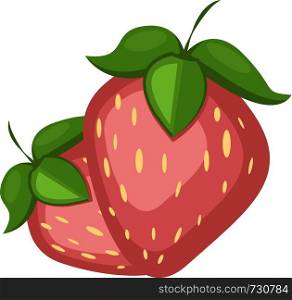 Two strawberries with leaves on top , vector, color drawing or illustration.