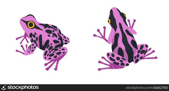 Two tropical frogs, set of two, hand drawn vector illustrations