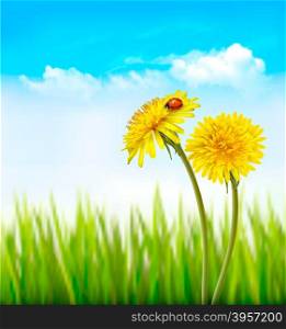 Two yellow dandelions with a ladybug on a nature spring background. Vector.