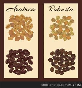 Types of coffee beans.. Arabica and robusta coffee beans. Green and roasted. Vector illustration.