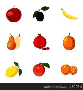 Types of fruit icons set. Cartoon illustration of 9 types of fruit vector icons for web. Types of fruit icons set, cartoon style