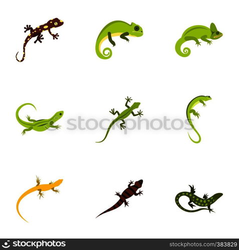 Types of iguana icons set. Flat illustration of 9 types of iguana vector icons for web. Types of iguana icons set, flat style