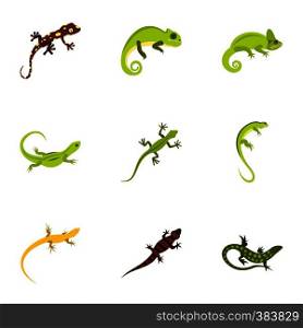 Types of iguana icons set. Flat illustration of 9 types of iguana vector icons for web. Types of iguana icons set, flat style