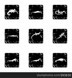 Types of iguana icons set. Grunge illustration of 9 types of iguana vector icons for web. Types of iguana icons set, grunge style