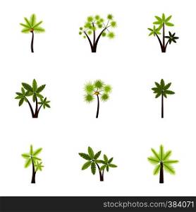 Types of palm icons set. Flat illustration of 9 types of palm vector icons for web. Types of palm icons set, flat style