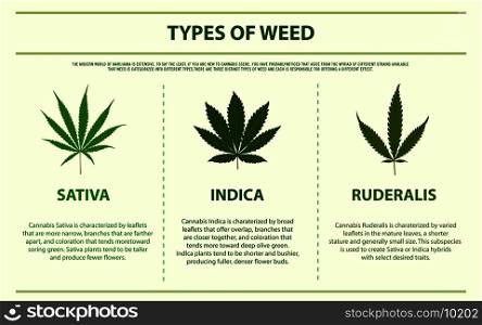 Types of weed horizontal infographic illustration about cannabis as herbal alternative medicine and chemical therapy, healthcare and medical science vector.