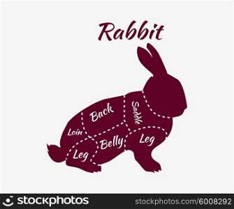 Typographic Rabbit Butcher Cuts Diagram. Vintage diagram guide for rabbit cutting. Vintage typographic rabbit butcher cuts diagram. Rabbit cuts diagram for butcher shop. Quarter of raw rabbit. Organic rabbit meat parts. Vector illustration