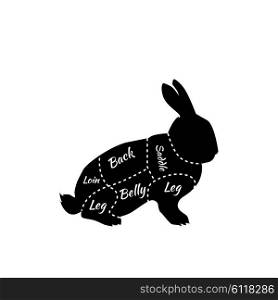 Typographic Rabbit Butcher Cuts Diagram. Vintage diagram guide for rabbit cutting. Vintage typographic rabbit butcher cuts diagram. Rabbit cuts diagram for butcher shop. Quarter of raw rabbit. Organic rabbit meat parts. Vector illustration