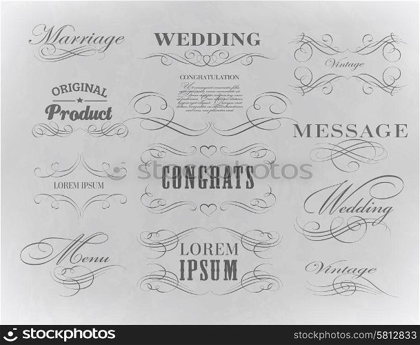 typography, calligraphic design elements, page decoration/ vector illustration