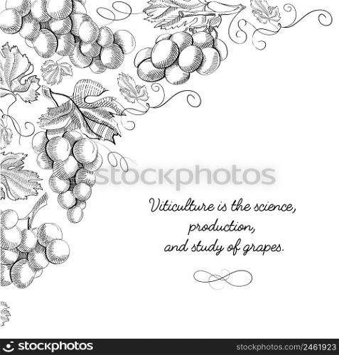 Typography design card doodle with inscription that viticulture is science, production and study of grapes vector illustration. Typography Design Card Doodle