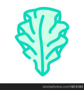 ulva lettuce seaweed color icon vector. ulva lettuce seaweed sign. isolated symbol illustration. ulva lettuce seaweed color icon vector illustration