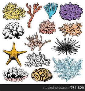 Underwater corals, polyps, sea urchins and starfish vector icons. Oceanarium ocean starfish, sea urchin and polyps, aquarium fauna, marine anemones and ocean reef habitats. Underwater corals, polyps, sea urchins and stars