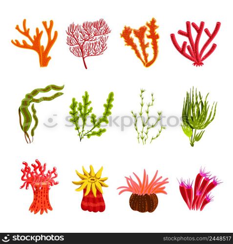 Underwater ocean and aquarium coral decorative icons set isolated vector illustration. Coral Icons Set