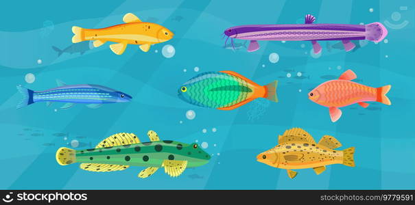 Underwater ocean fauna with fishes, seaweed and shells on sand. Ocean bottom with marine life reprsentatives. Marine underwater world with exotic fishes. Bright tropical fish floating on seabed. Tropical fish floating on seabed. Ocean bottom, underwater world with marine life reprsentatives