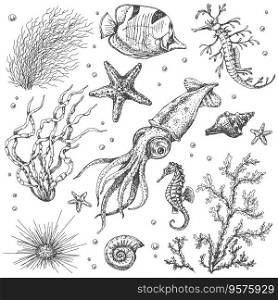 Underwater plants and animals sketch vector image