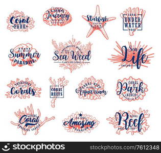 Underwater sea corals, starfish and polyps, vector sketch icons. Summer beach resort, ocean boat trips and travel, hand drawn oceanarium coral reef starfish and aquarium seaweed, sea life symbols. Sea corals icons, vector sketch