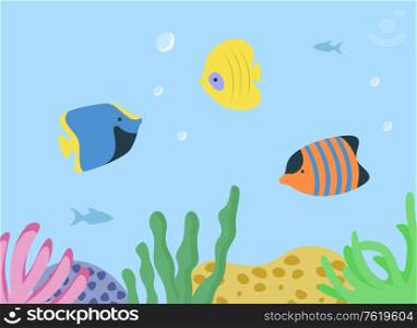 Underwater seascape with sea or ocean fish species aquarium habitats. Vector striped orange, blue and yellow anemones, swimming animals in tank with corals. Underwater Seascape with Sea or Ocean Fish Species