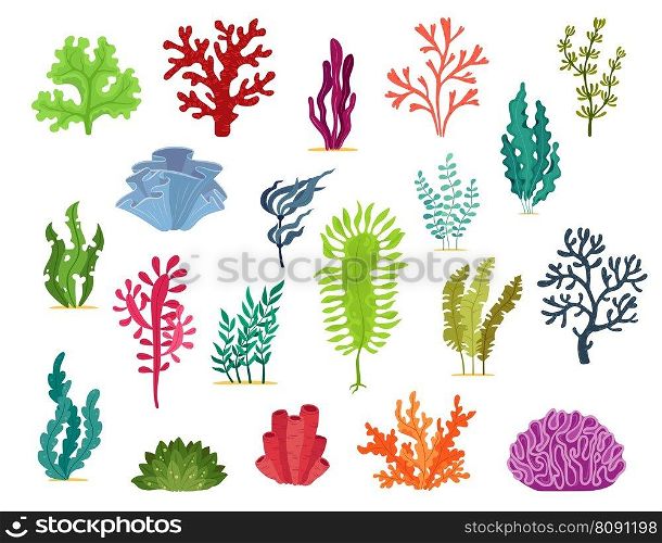 Underwater seaweed plants. Aquarium and sea algae. Vector set of vibrant weeds, grass and corals in undersea ocean floor. Marine life for environmental or aquatic products, or oceanic research themes. Underwater seaweed plants, aquarium and sea algae