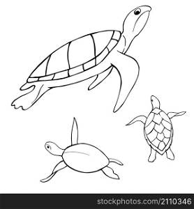 Underwater turtle. Vector sketch illustration.