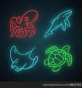 Underwater world neon light icons set. Swimming octopus, squid, turtle, whale. Ocean animals, undersea wildlife. Marine fauna. Aquatic creatures. Glowing signs. Vector isolated illustrations