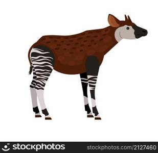 Unique tropical animal. Cartoon exotic beast of wildlife, hoofed animal with horns, vector illustration of okapi isolated on white background. Unique tropical animal