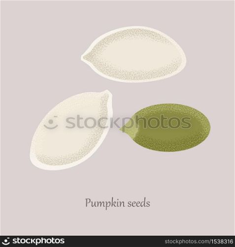 Unshelled and peeled pumpkin seeds on a gray background. Healthy diet food. Pumpkin seeds for oil.. Unshelled and peeled pumpkin seeds on a gray background.