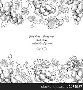 Upper and under horizontal elegant scroll ornament engraving grape bunches border and luxury berries hand drawn sketch vector illustration. Upper And Under Horizontal Elegant Template