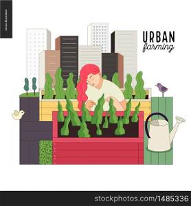 Urban farming, gardening or agriculture. A woman looking after the plants growing in the wooden box, surrounded by gardening tools, with a city tower buildings on the background. Urban farming and gardening