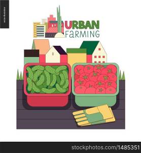Urban farming, gardening or agriculture, harvest. Two containers filled with cucumbers and tomatos standing on the deck and gauntlets, with town houses on the background. Farming logo.. Urban farming and gardening - cucumbers and tomatos