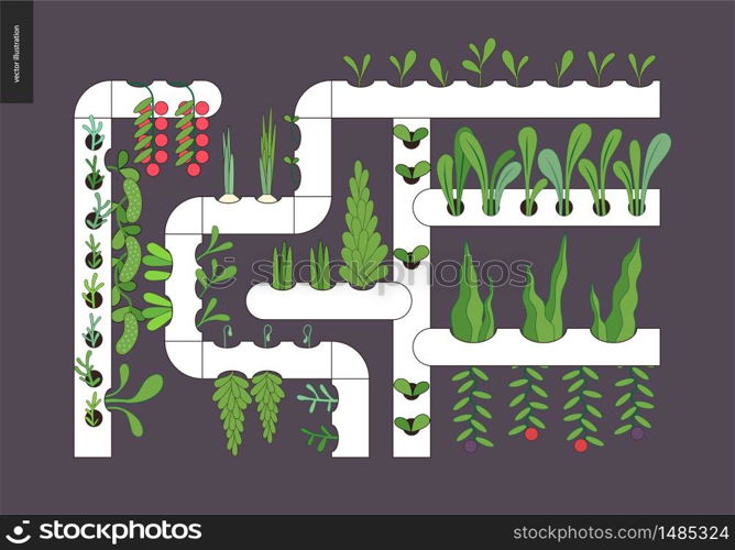 Urban farming, gardening or agriculture. Hydroponics - Continuous-flow solution culture - nutrient film technique. The growing system without soil.. Urban farming and gardening - Hydroponics