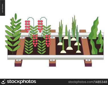 Urban farming, gardening or agriculture. Seedbed made in railing. Urban farming and gardening on the rails