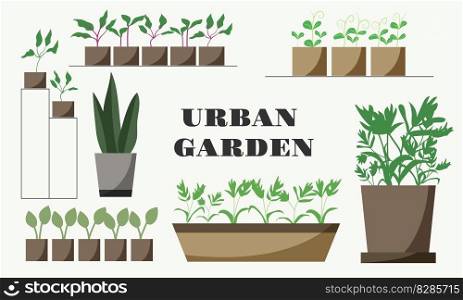 Urban Garden with home plants. Cozy Home Garden furnished in Hygge style. Isolated Vector. Urban Garden with home plants. Cozy Home Garden furnished in Hygge style.