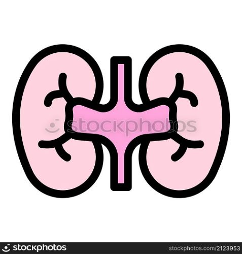 Urinary kidney icon. Outline urinary kidney vector icon color flat isolated. Urinary kidney icon color outline vector