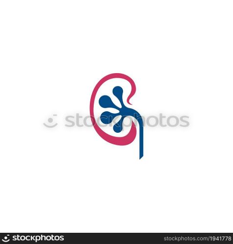 Urology logo, kidney logo icon healty template vector