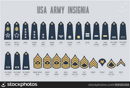 USA army insignia, us army military chevrons for general, lieutenant, major and brigadier. Colonel, captain, chief warrant officer and command or master sergeant, staff, specialist and private ranks. USA army insignia, us army military chevrons set