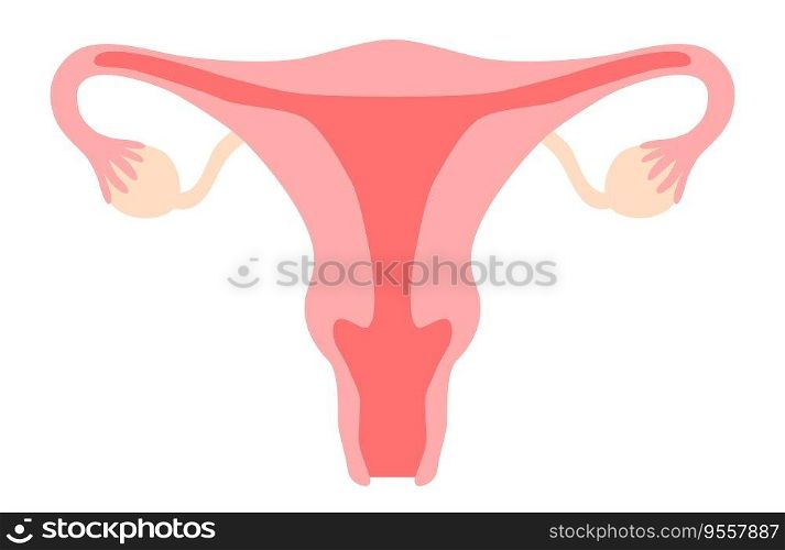 Uterus clipart. Womb, vagina, ovary, cervix. Woman reproductive system, gynecology, fertility, menstrual cycle, girl power concept. Stock vector illustration isolated on white background in flat cartoon style.. Uterus clipart. Womb, vagina, ovary, cervix. Woman reproductive system, gynecology, fertility, menstrual cycle, girl power concept. Stock vector illustration isolated on white background in flat cartoon style