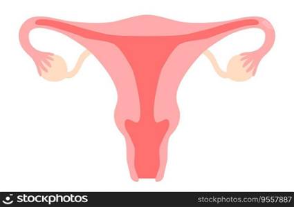 Uterus clipart. Womb, vagina, ovary, cervix. Woman reproductive system, gynecology, fertility, menstrual cycle, girl power concept. Stock vector illustration isolated on white background in flat cartoon style.. Uterus clipart. Womb, vagina, ovary, cervix. Woman reproductive system, gynecology, fertility, menstrual cycle, girl power concept. Stock vector illustration isolated on white background in flat cartoon style