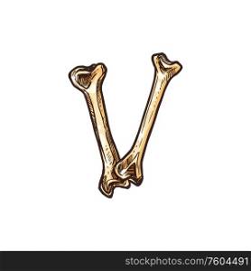 V letter of bones joints isolated Halloween alphabet symbol. Vector Dia de los Muertos font. Letter V of bones and joints isolated horror ABC